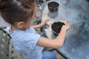 Preparing soil in pot 
