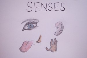 9-yr-old sketches of the senses
