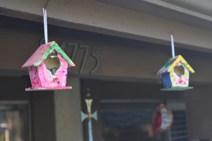 The miniature bird houses